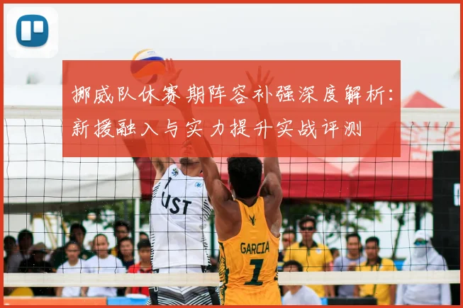 挪威队休赛期阵容补强深度解析:新援融入与实力提升实战评测