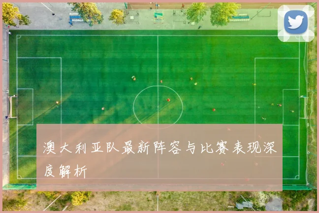 澳大利亚队最新阵容与比赛表现深度解析